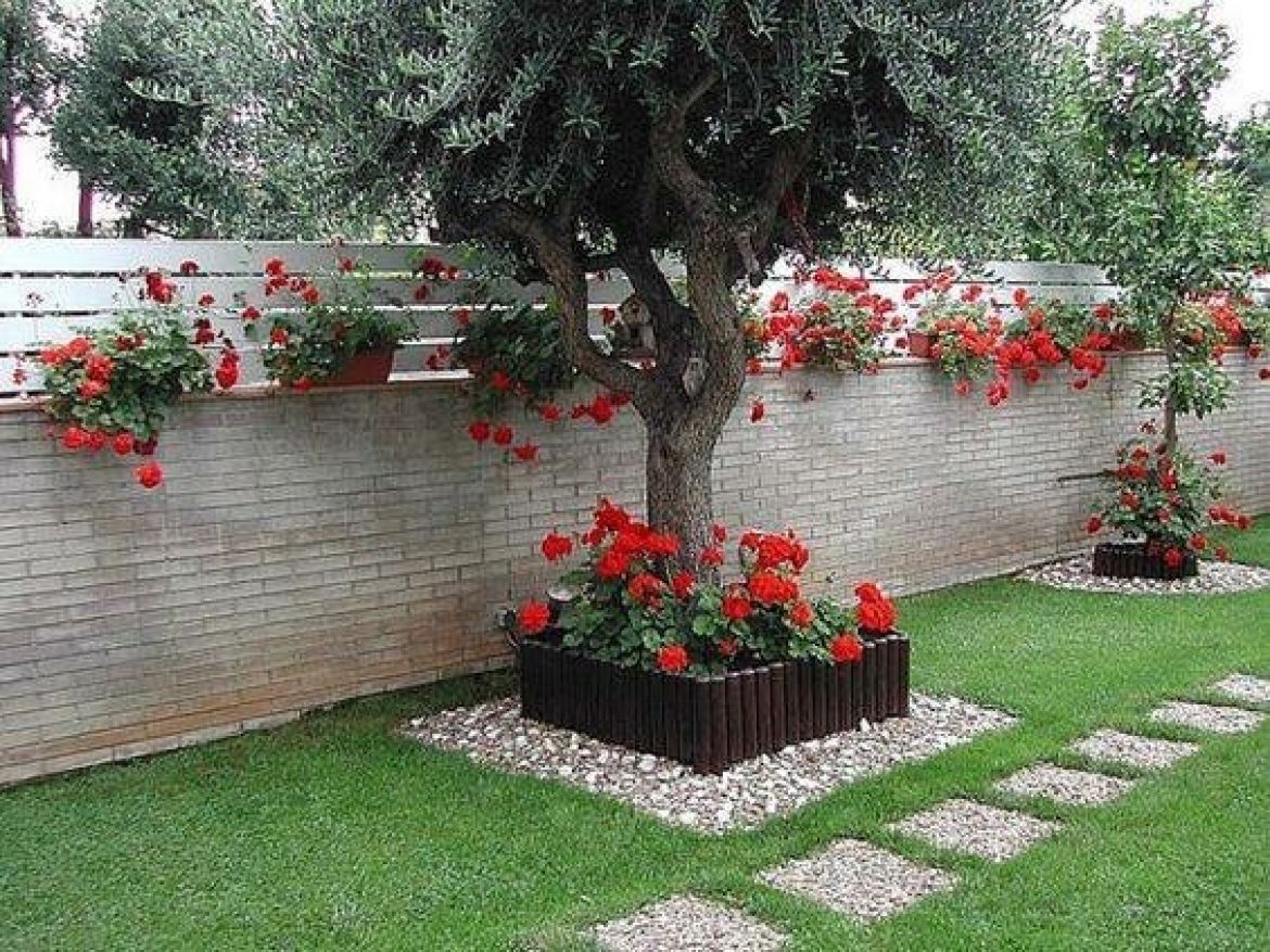 #Bağ və Həyət - 27 Palladiumg Group